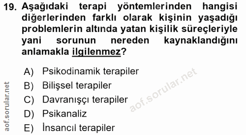 Soru 19
