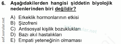 Soru 6