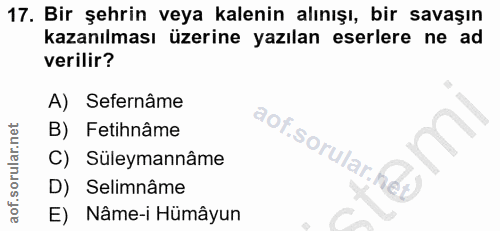 Soru 17