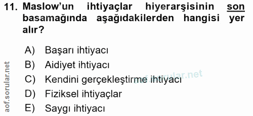Soru 11