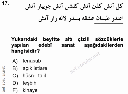 Soru 17