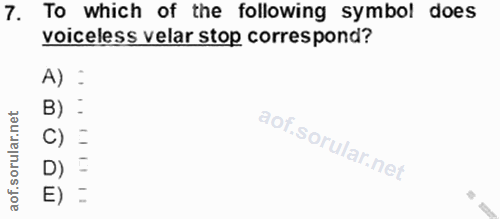 Soru 7