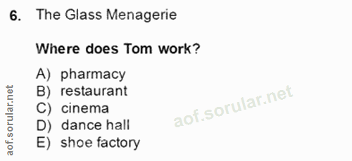 Soru 6