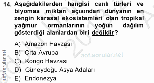 Soru 14