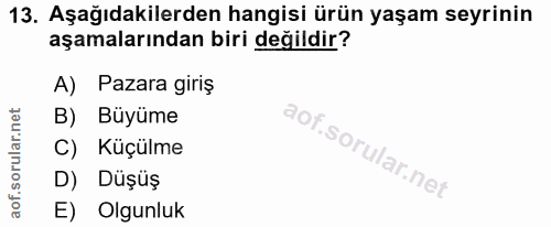 Soru 13