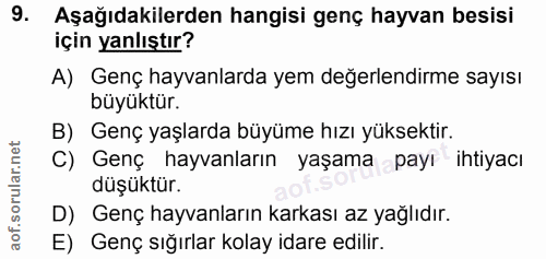 Soru 9