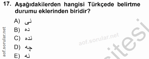 Soru 17