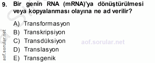 Soru 9
