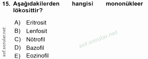 Soru 15