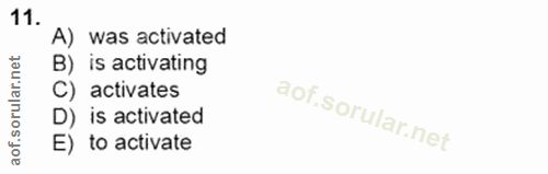Soru 11