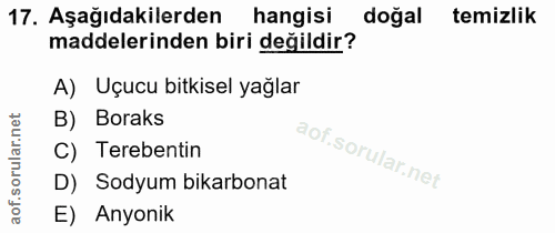 Soru 17