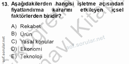 Soru 13