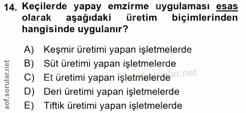 Soru 14