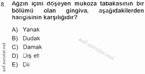 Soru 8