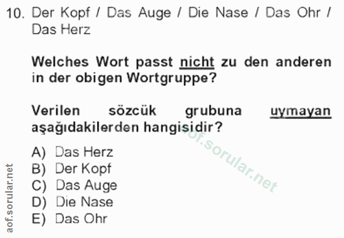 Soru 10