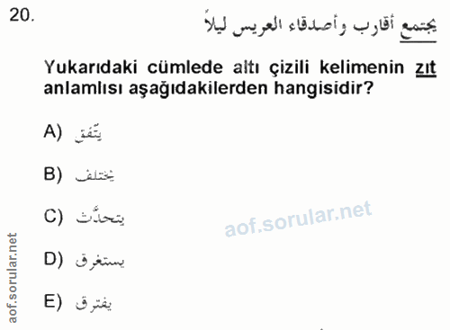 Soru 20