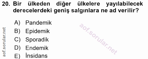 Soru 20