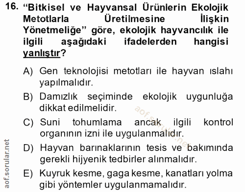 Soru 16