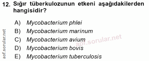Soru 12