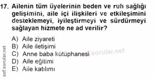 Soru 17