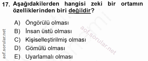 Soru 17
