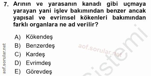 Soru 7