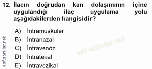 Soru 12