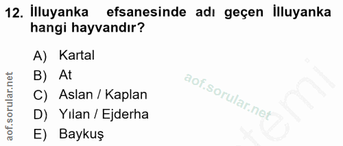 Soru 12