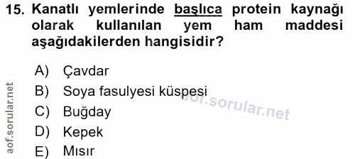 Soru 15