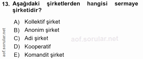 Soru 13