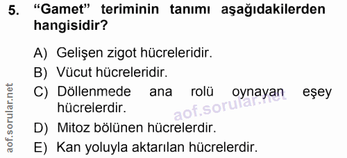 Soru 5
