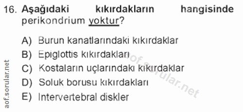 Soru 16