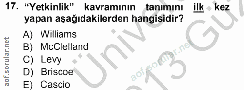 Soru 17