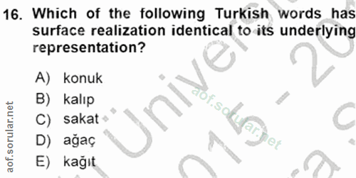 Soru 16