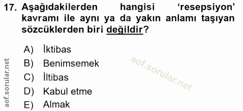 Soru 17