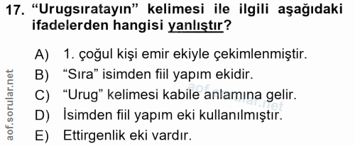 Soru 17