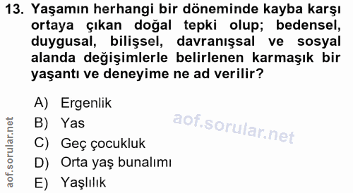 Soru 13
