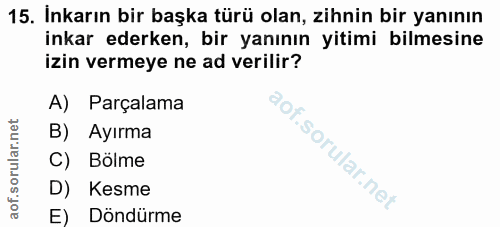 Soru 15