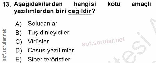 Soru 13