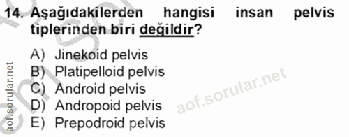 Soru 14