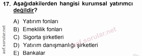 Soru 17