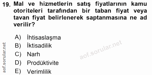 Soru 19