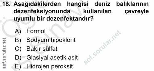 Soru 18