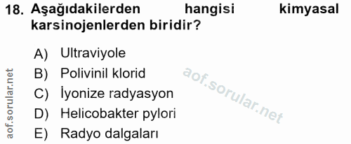 Soru 18