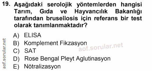 Soru 19