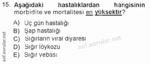Soru 15