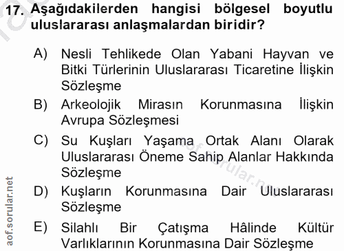 Soru 17