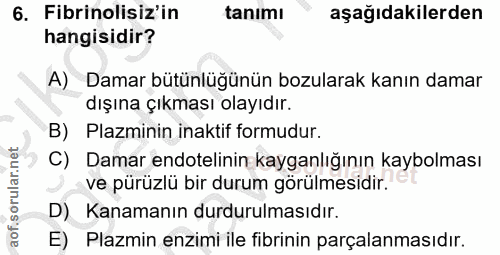 Soru 6