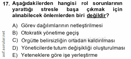 Soru 17