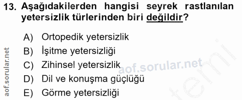 Soru 13